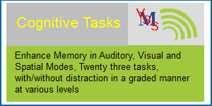 Vagmi Cognitive Task